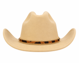 Sombrero Dakota Arena