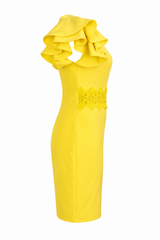 Vestido Amarillo De Encaje Con Mangas