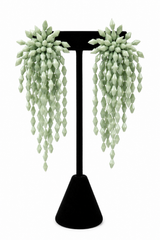 Aretes Poli