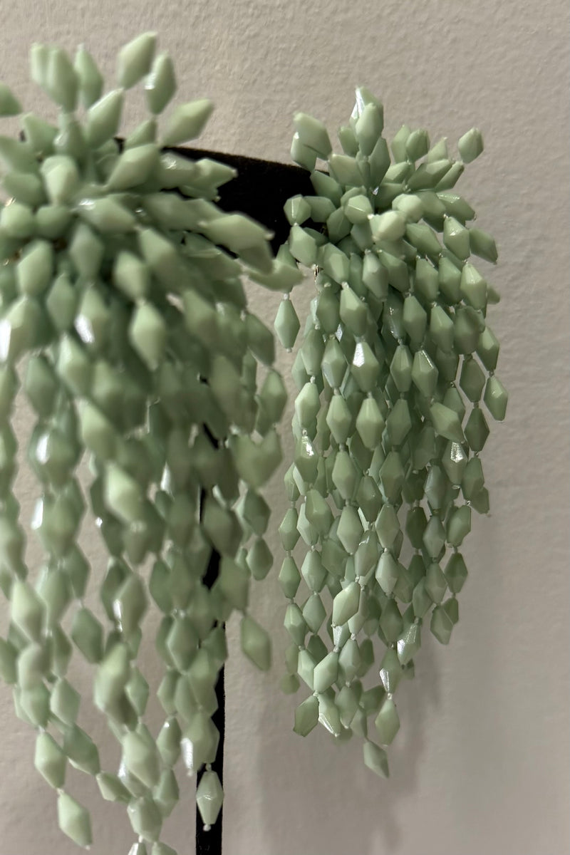 Aretes Poli