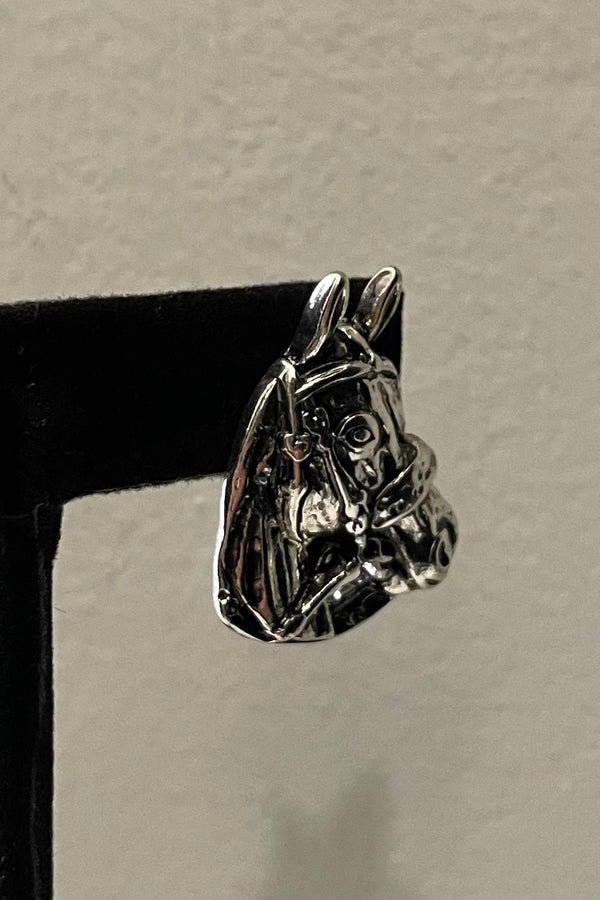 Aretes Silver Horse