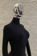 Vestido Manga Larga Cuello Tortuga Negro