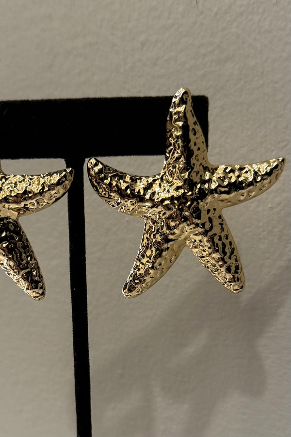 Aretes Starfish Texture