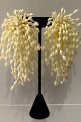 Aretes Poli